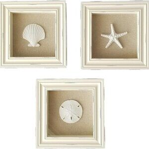 NEW Set of 3 Shell Shabby Chic Shadow Boxes- Creamy Off White Frame 7" x 7"